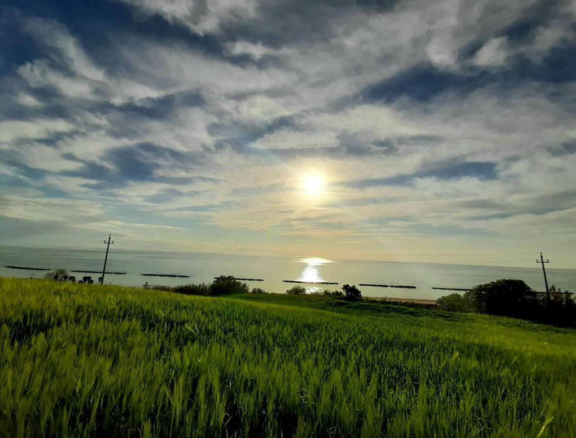 Bio Agriturismo Mare In Campagna Campofilone Εξωτερικό φωτογραφία