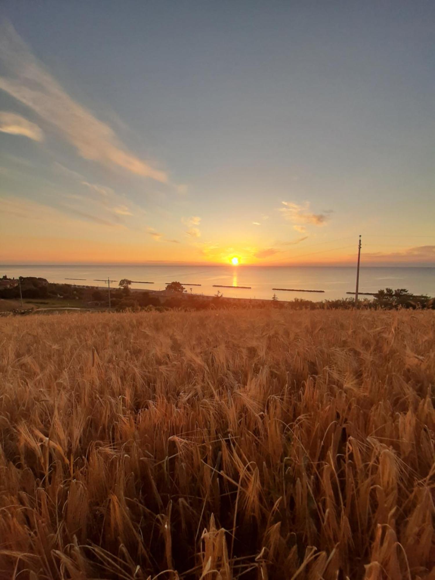 Bio Agriturismo Mare In Campagna Campofilone Εξωτερικό φωτογραφία
