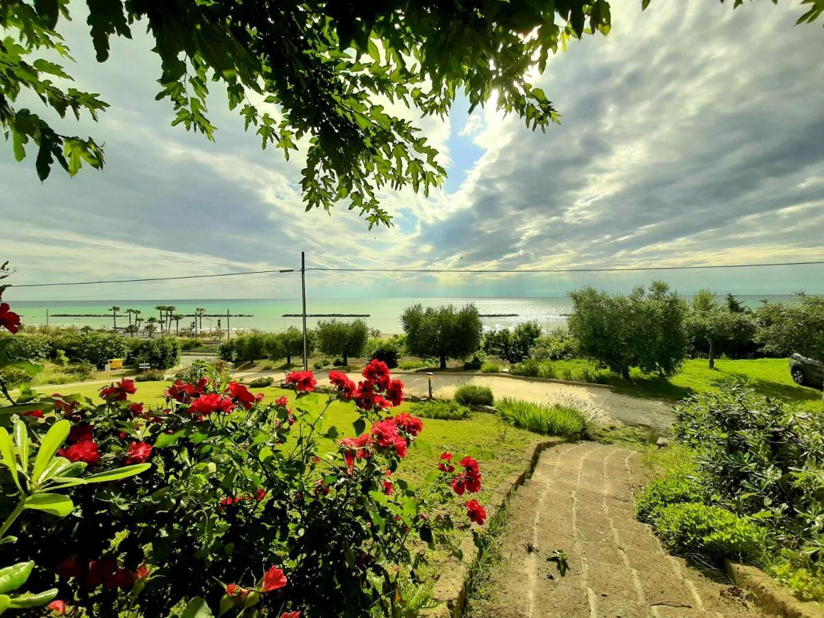 Bio Agriturismo Mare In Campagna Campofilone Εξωτερικό φωτογραφία