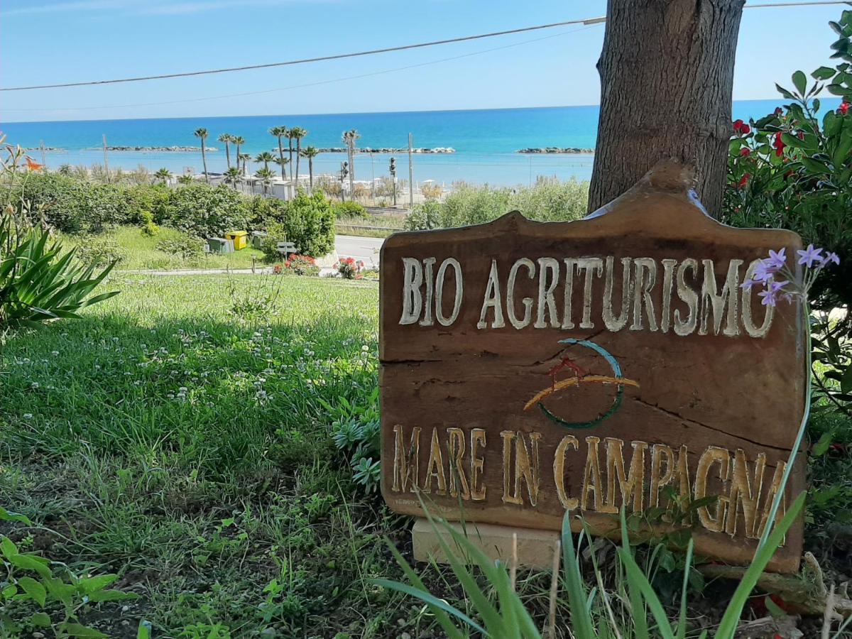 Bio Agriturismo Mare In Campagna Campofilone Εξωτερικό φωτογραφία